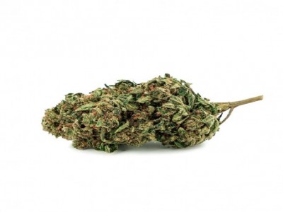 Buy Silver Haze Strain Online